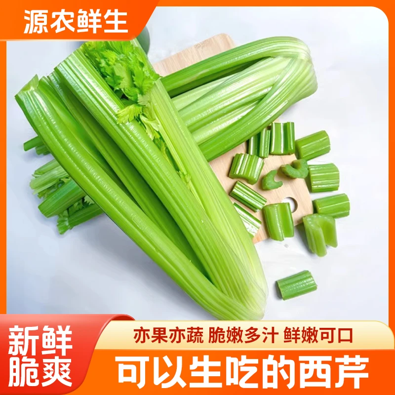 山东新鲜榨汁西芹3斤5斤装脆嫩去叶健康蔬菜产地直发