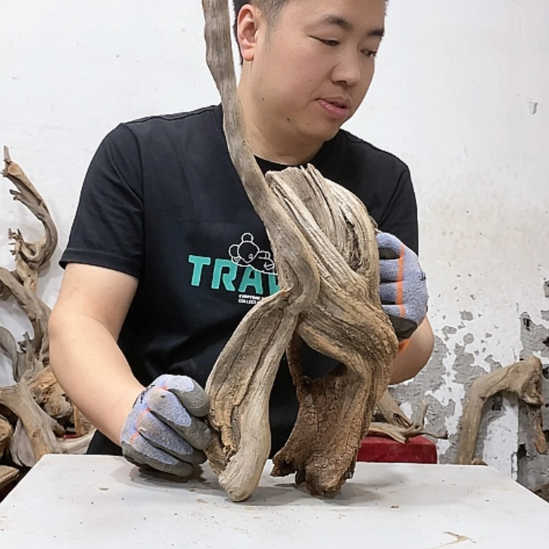【闪购商品】柏木裕*轩我们都是好孩子
