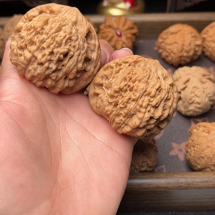 核桃48全品官帽4233