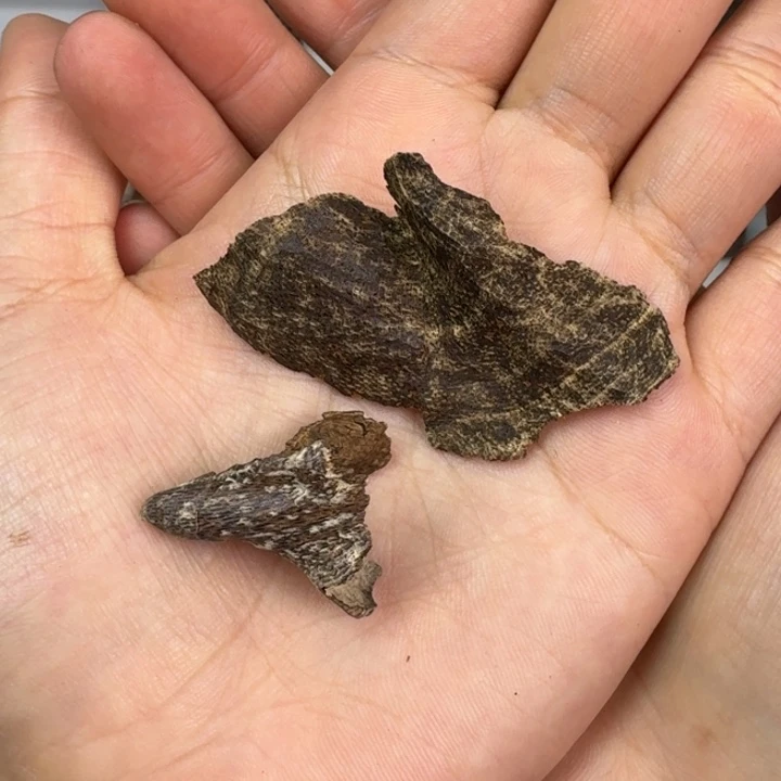 伟业海南沉水煮水料1.1克