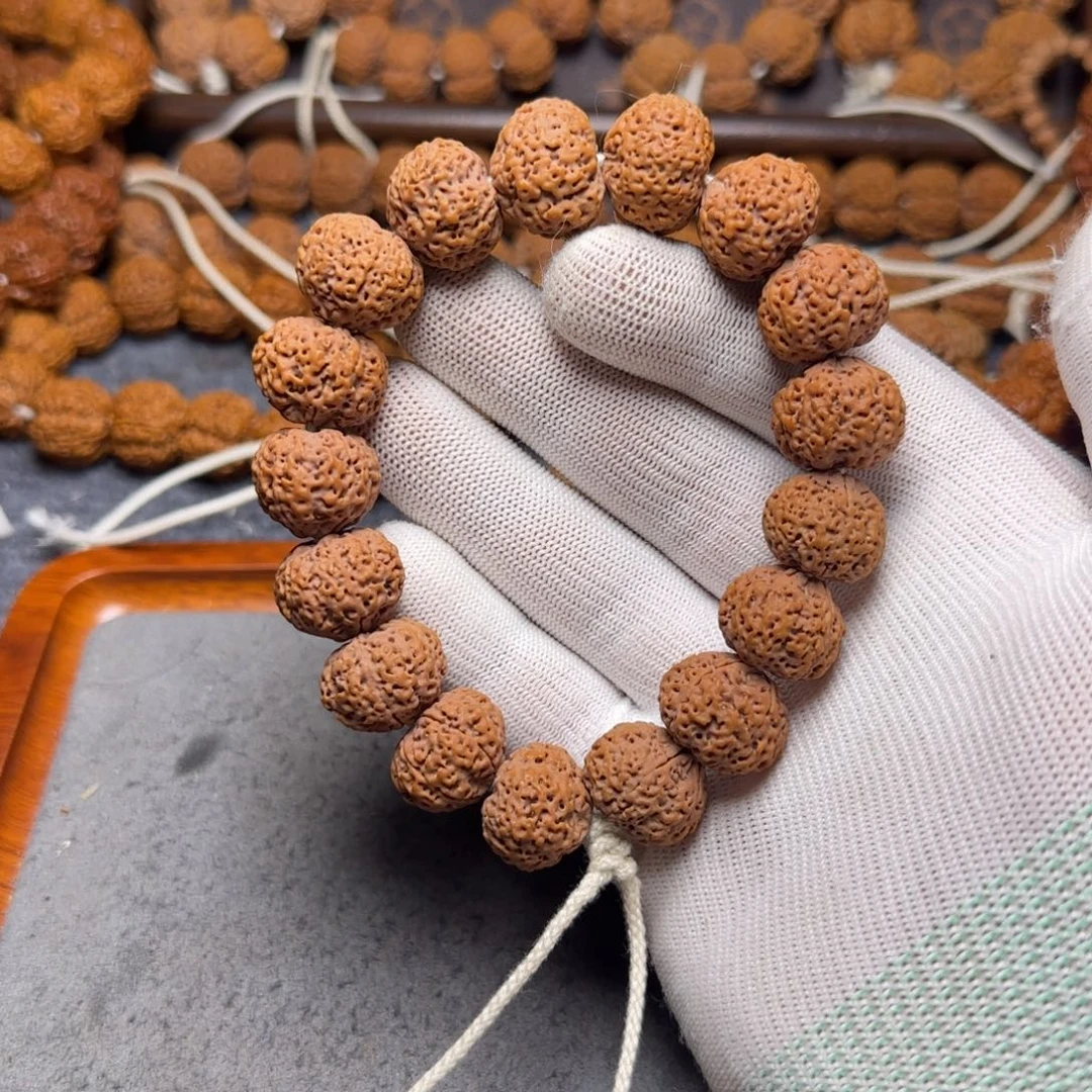 菩提金刚菩提19菠萝蜜