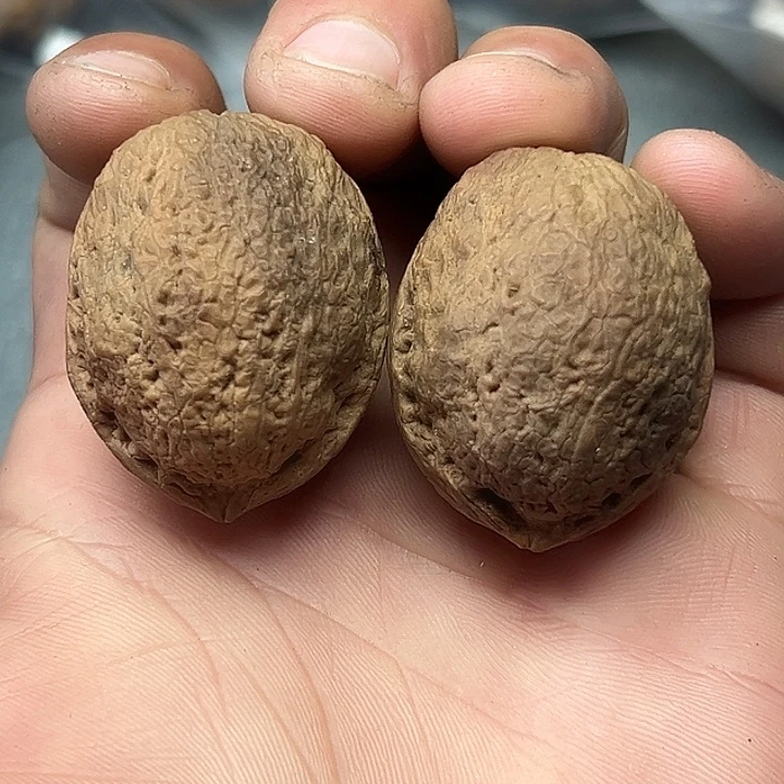 文玩核桃把件79号花彩小罗汉34尺