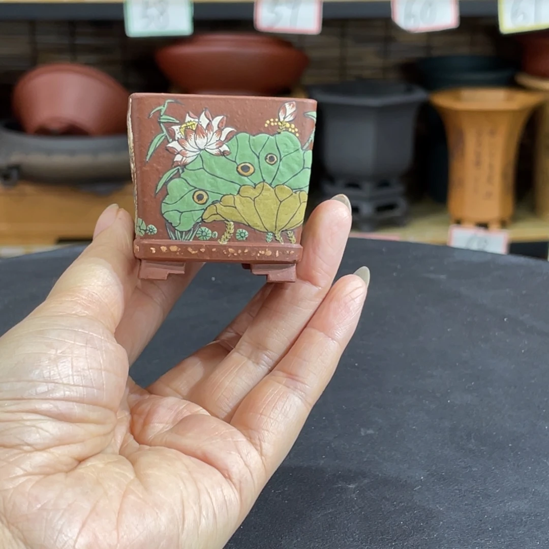 紫砂花盆你是什么
