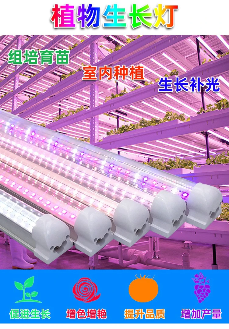 全光谱植物灯LED秋海棠发色促生长植物生长灯温室多肉补光灯
