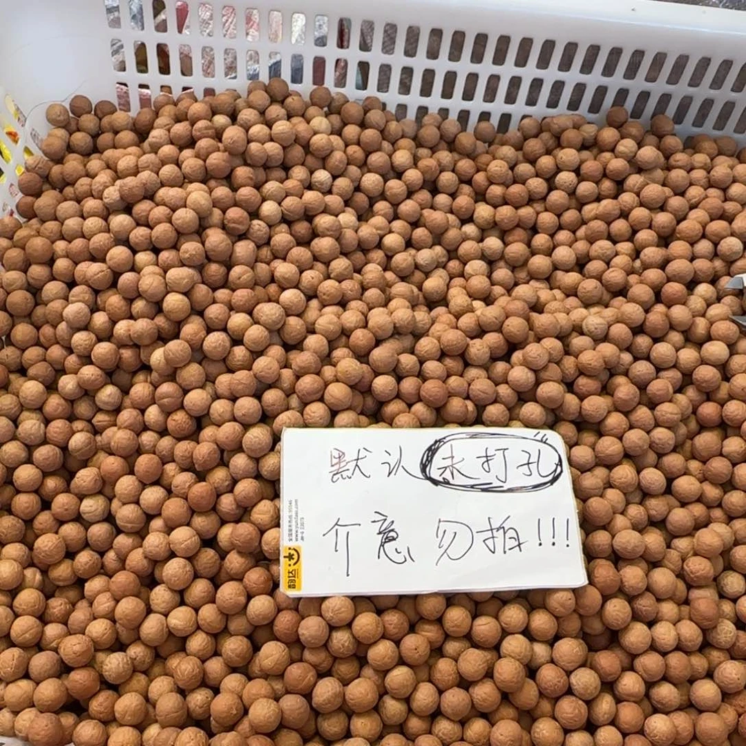 凤眼菩提吊坠22号13➕散籽110颗左右