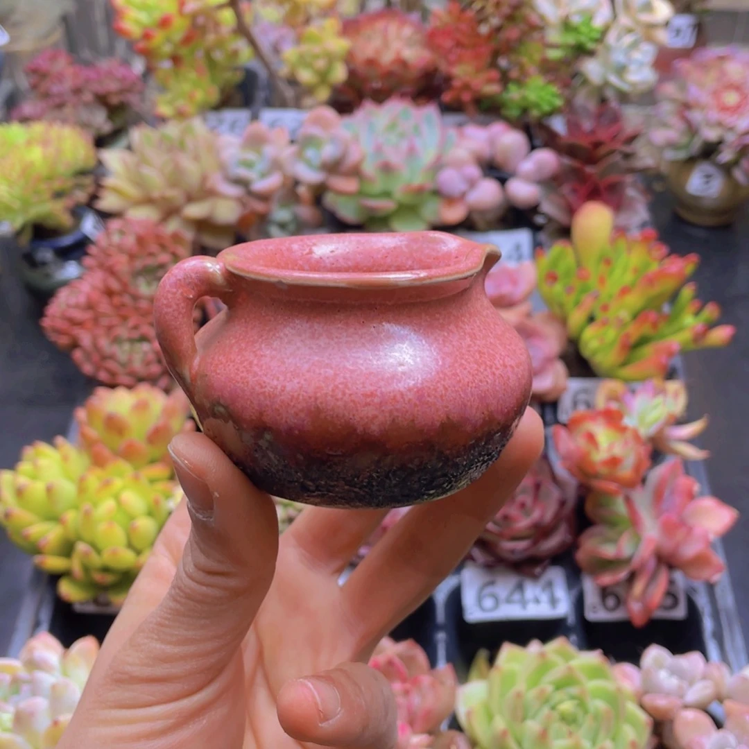 p***e花器花器花器好玩