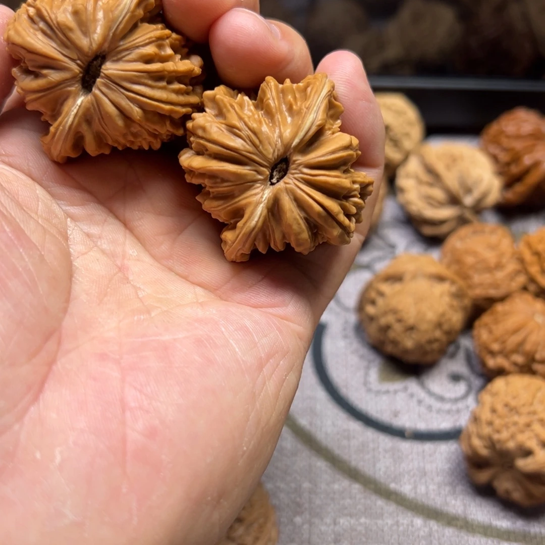 要***o吊坠龙脊菩提四座楼