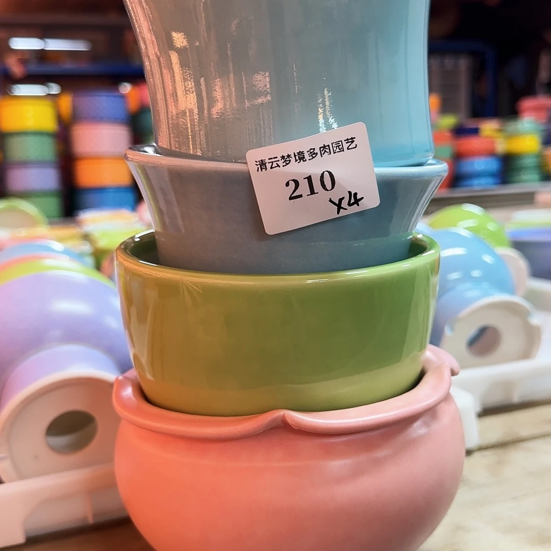 【闪购商品】红陶多***贝210 4个