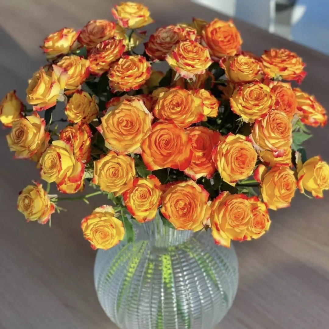 两单包邮！多头眼线10只（20%不售后）