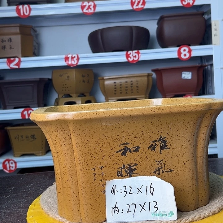 紫砂花盆蛇年大吉