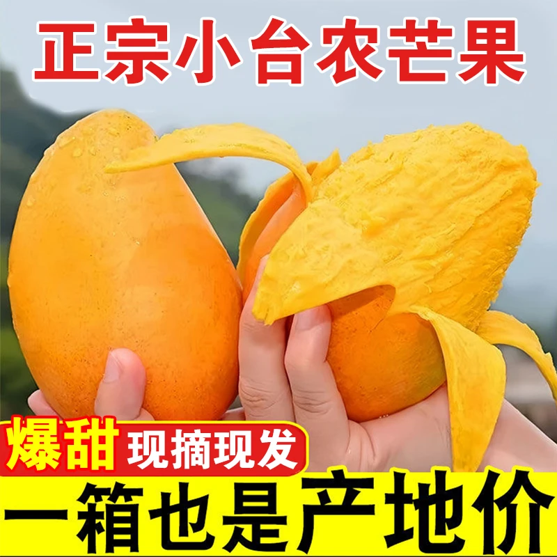 正宗小台芒果热带水果鸡蛋芒甜心芒皮薄肉厚香甜多汁催熟后食用