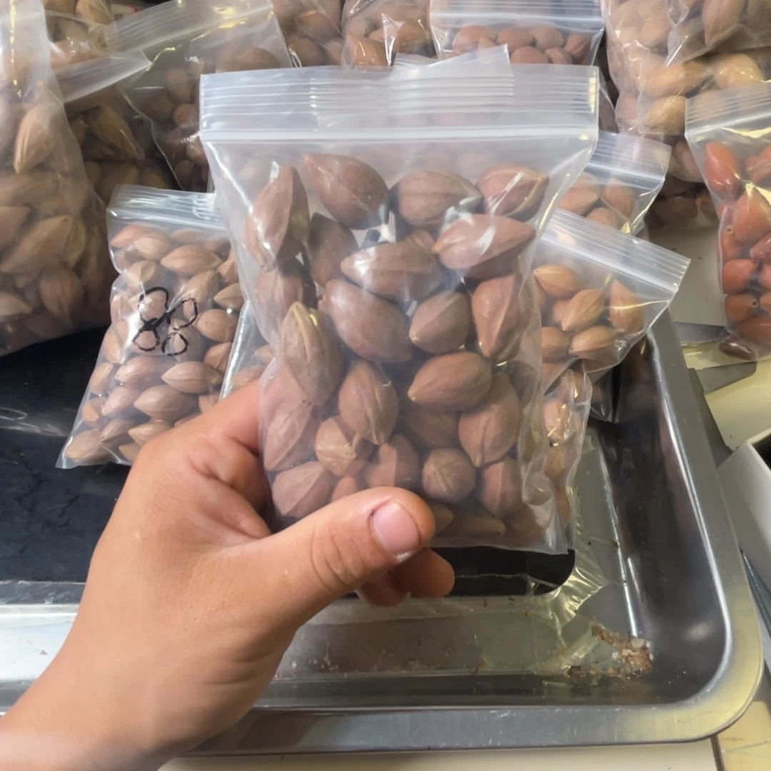 吊坠龙脊菩提张*满