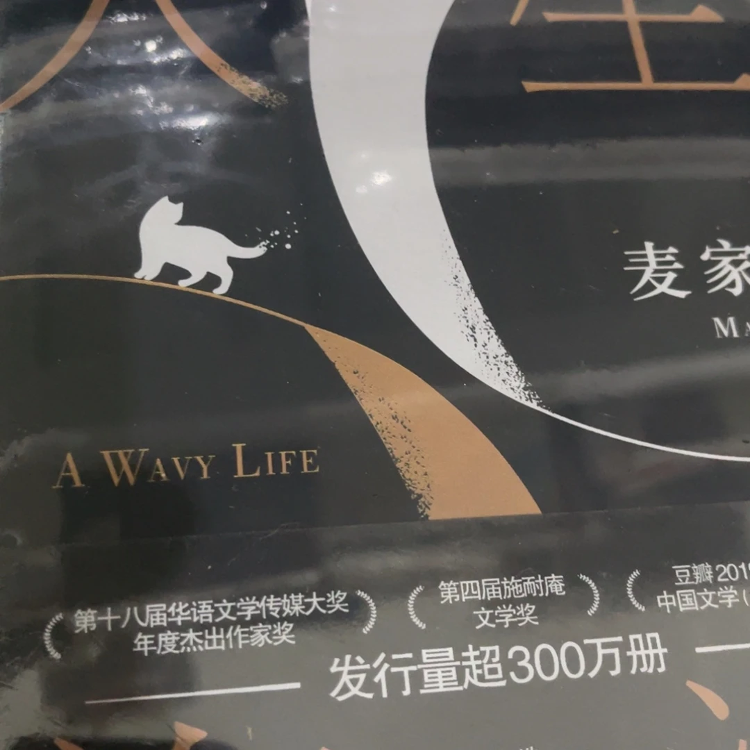 人生海海精装一个fl