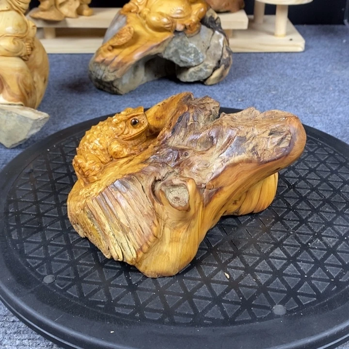 柏木崖柏崖柏崖柏崖柏崖柏