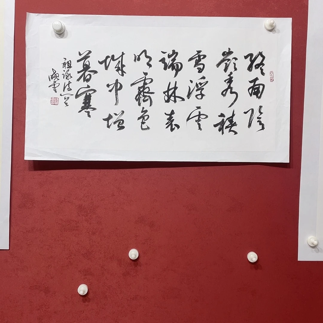 书法终南直播间大漏11111