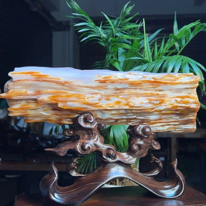 硅化玉（树化玉）未镶嵌珠宝奇石