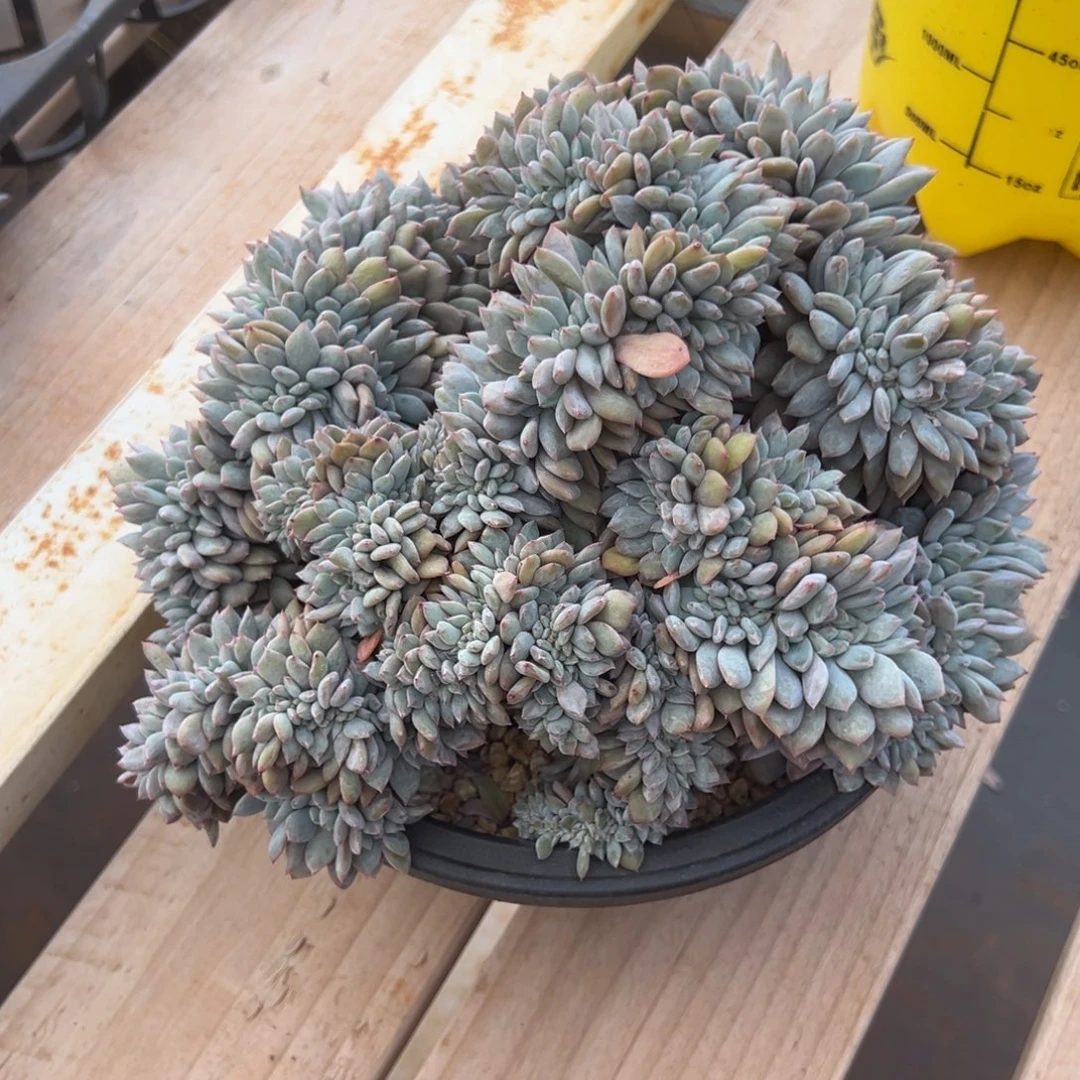 阳***5噢咯噢噢呜兔落落你