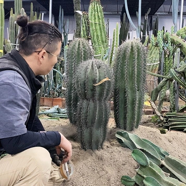 聂***17号拍品。