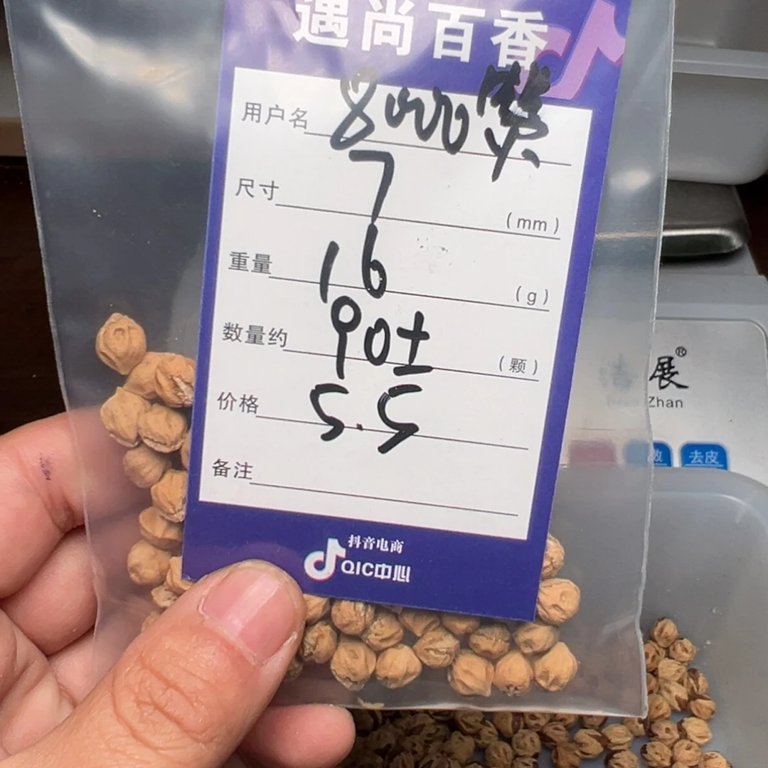 柏香籽/百香籽吊坠