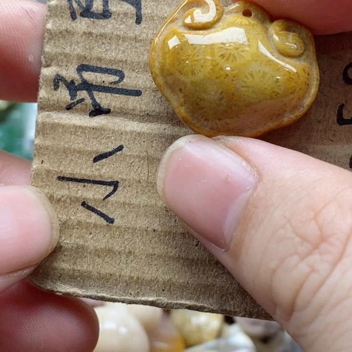 硅化珊瑚（珊瑚玉）未镶嵌颈饰?***?