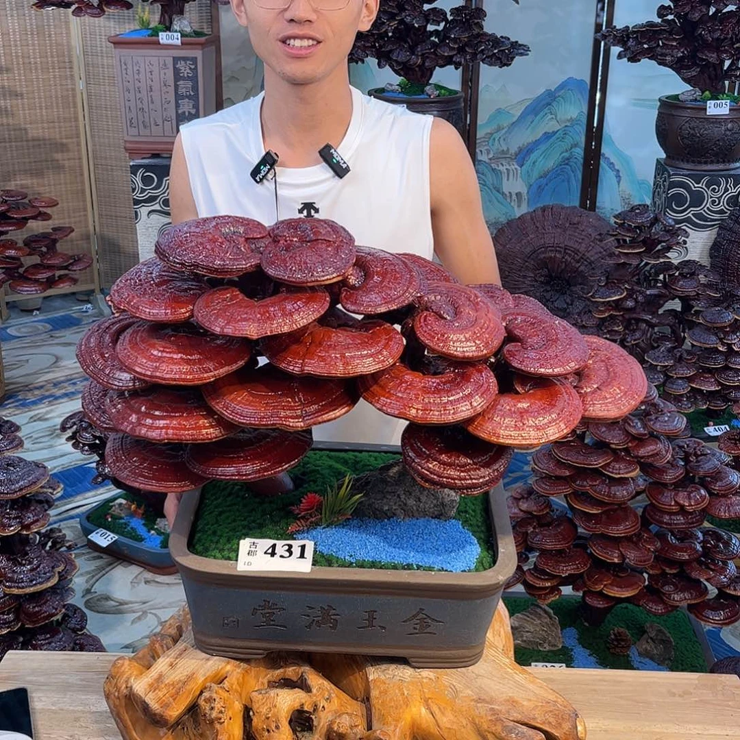 无花朵888888888888