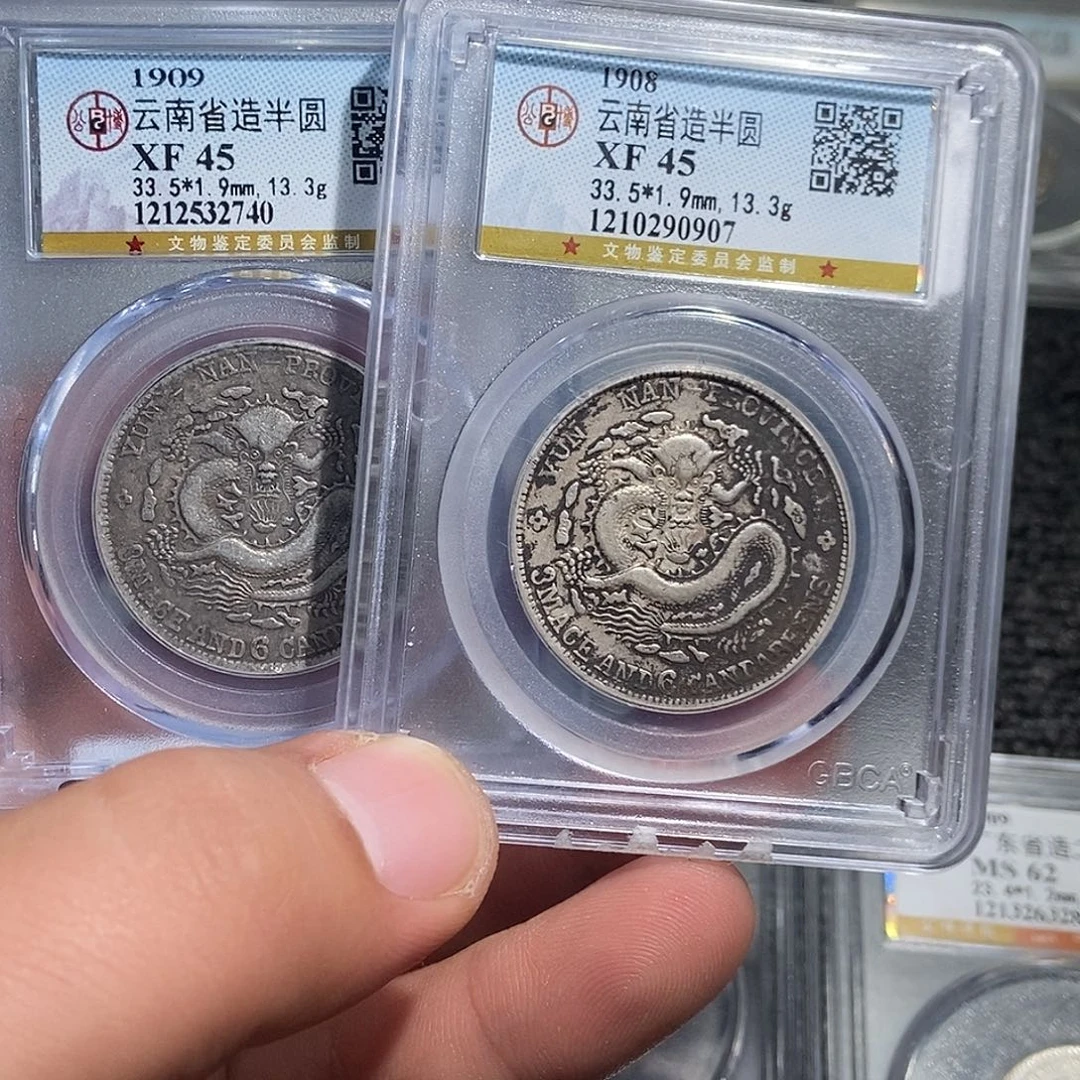 银小董云南老龙一对740 907