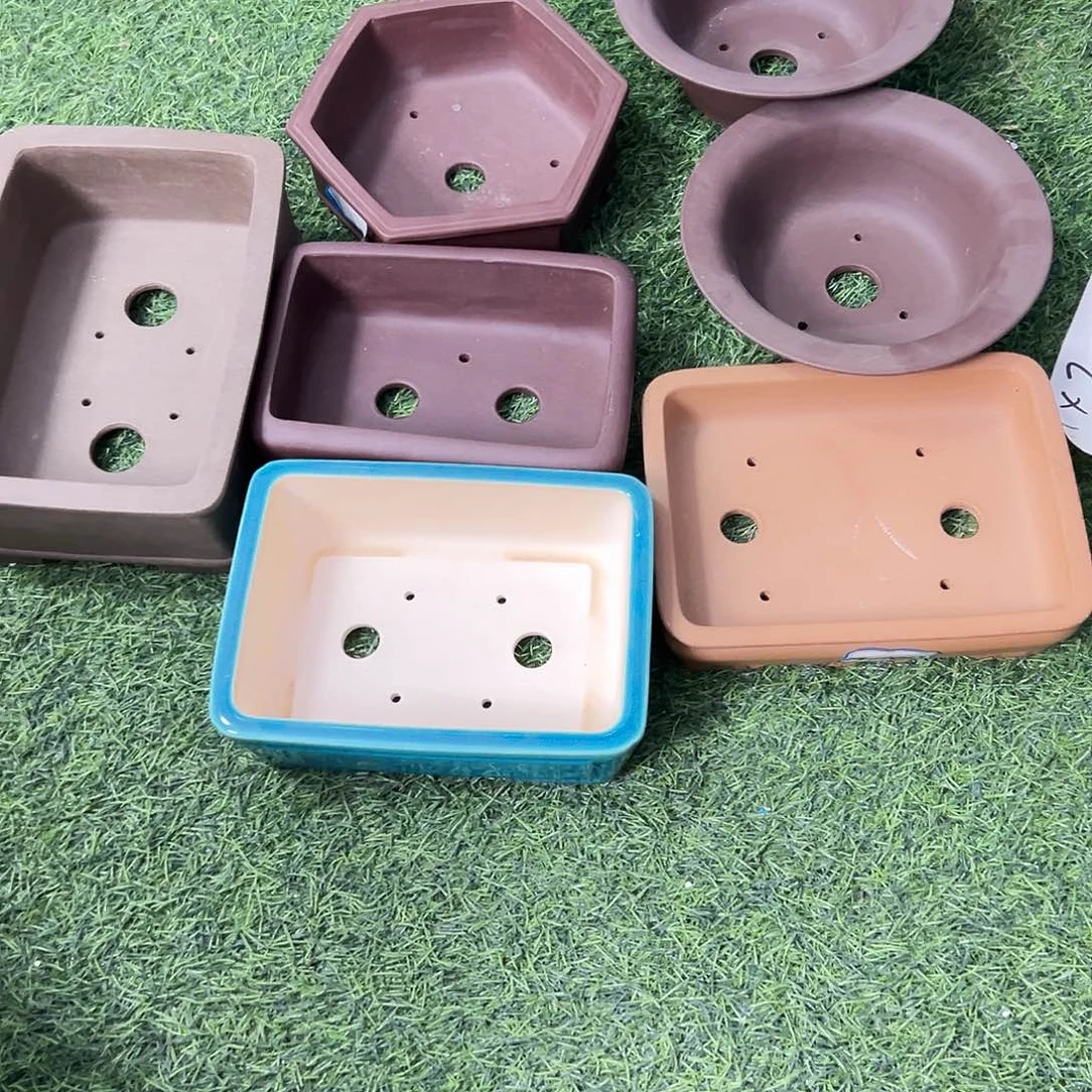 花盆紫砂七只盆福利价