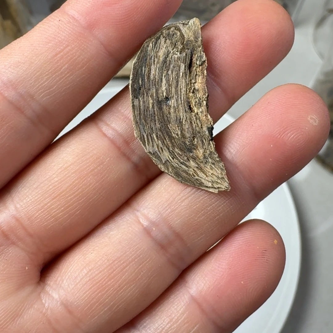 沉香碎屑沉香沉水虎斑棋