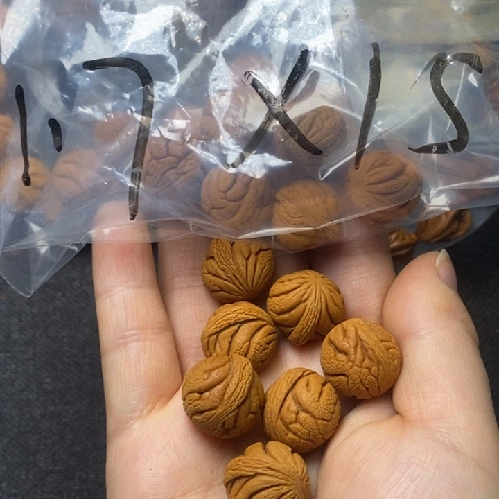 木质类秦岭山野生桃核