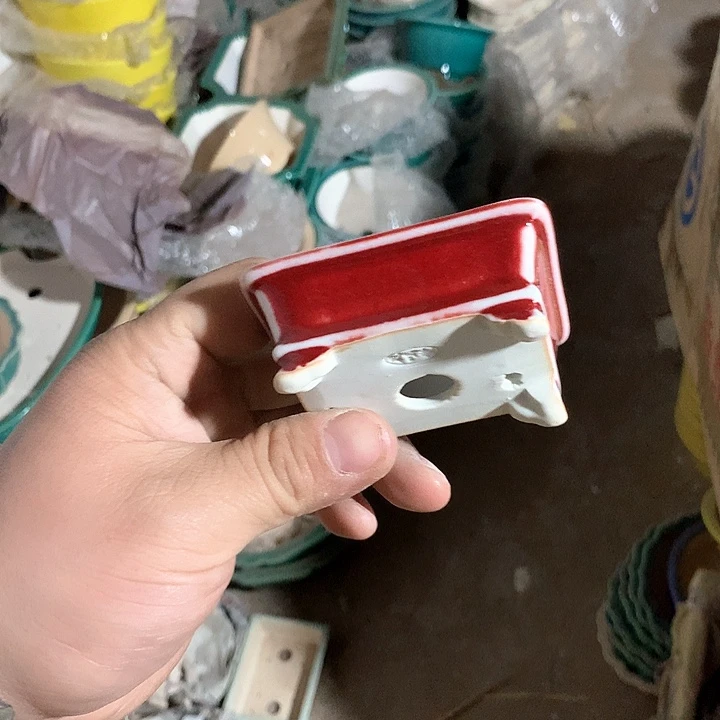 紫砂优秀青年科技创新科技大学