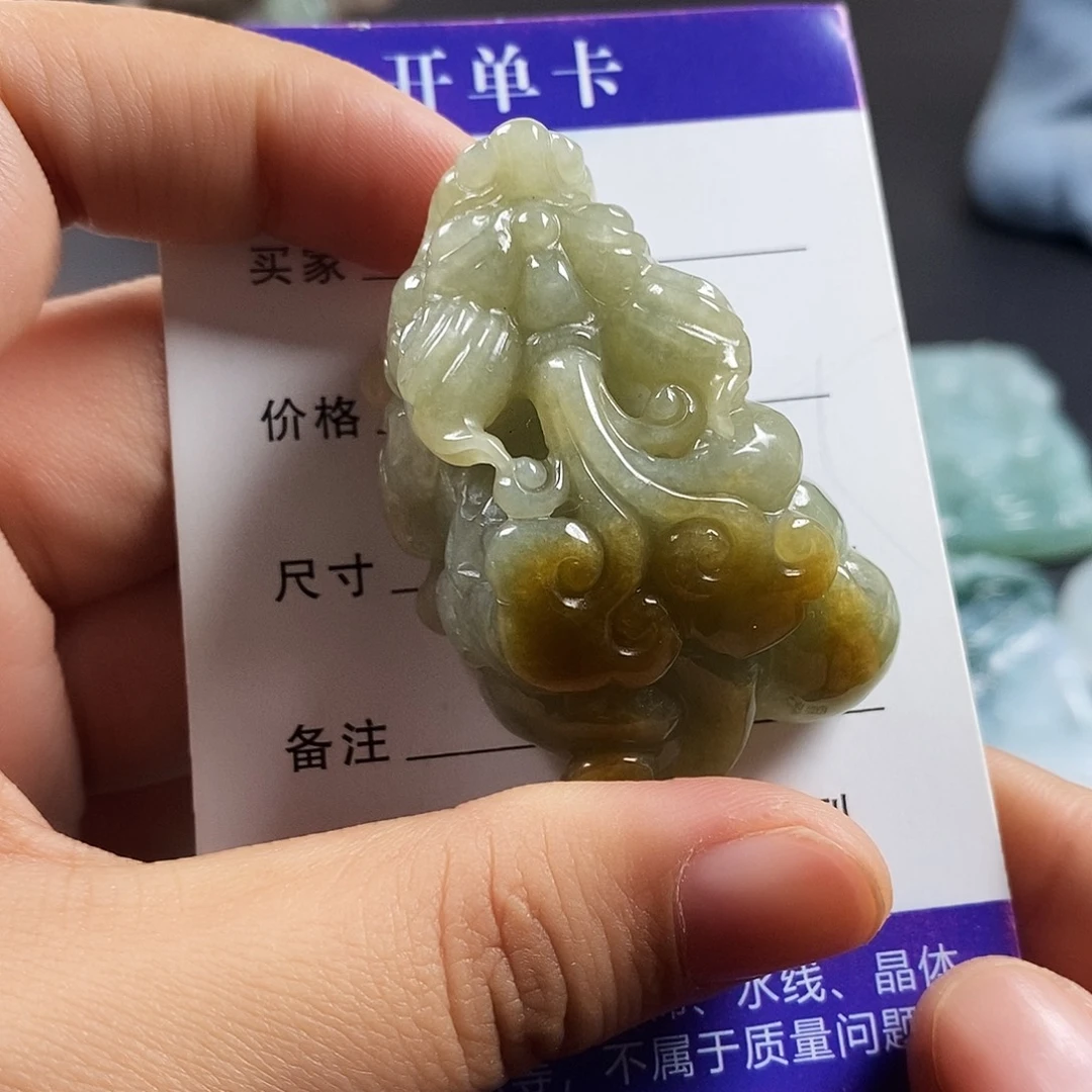 星***雨翡翠未镶嵌颈饰翡翠