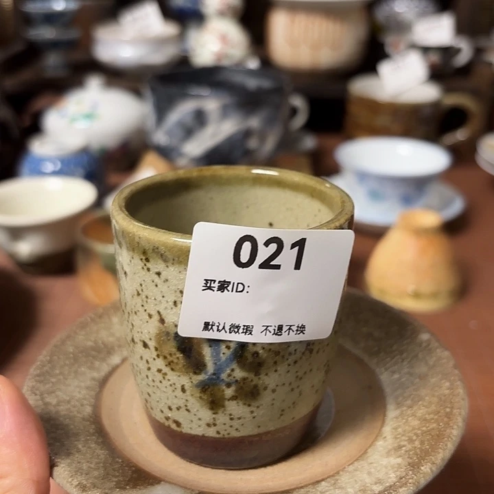 瓷片鱼**在喵喵日瓷都是大漂亮