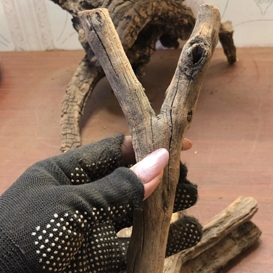 大果紫檀（缅甸花梨）C****?