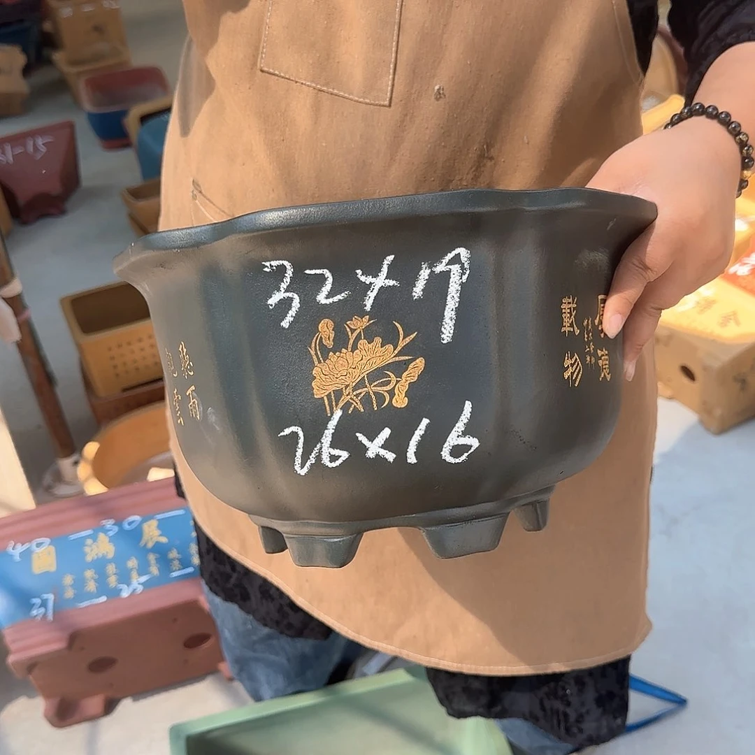 紫砂花盆这是我的