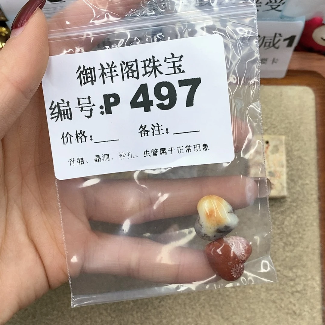硅化珊瑚（珊瑚玉）P未镶嵌泡**