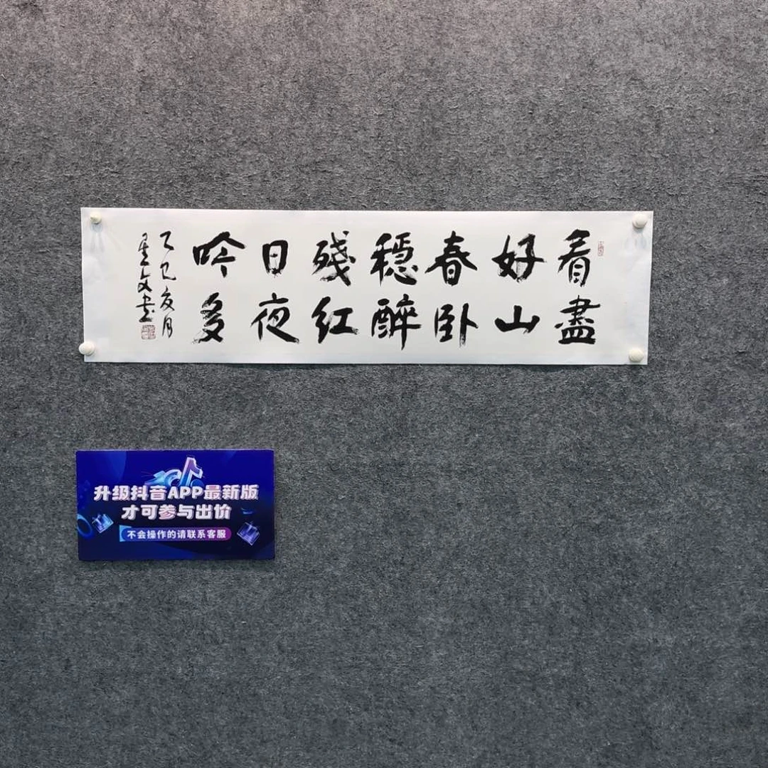 书法书法SXW老师作品