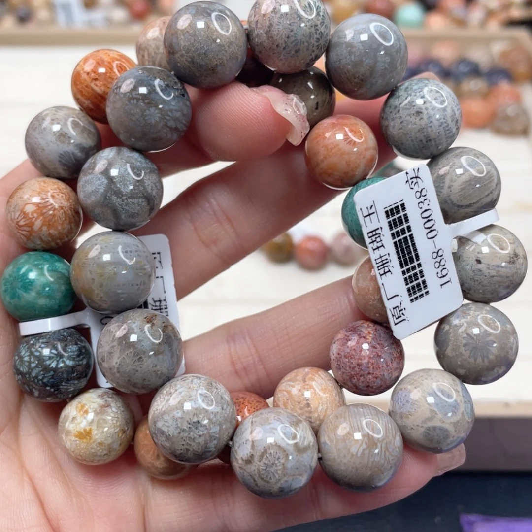 未镶嵌手链硅化珊瑚（珊瑚玉）袁*阳090