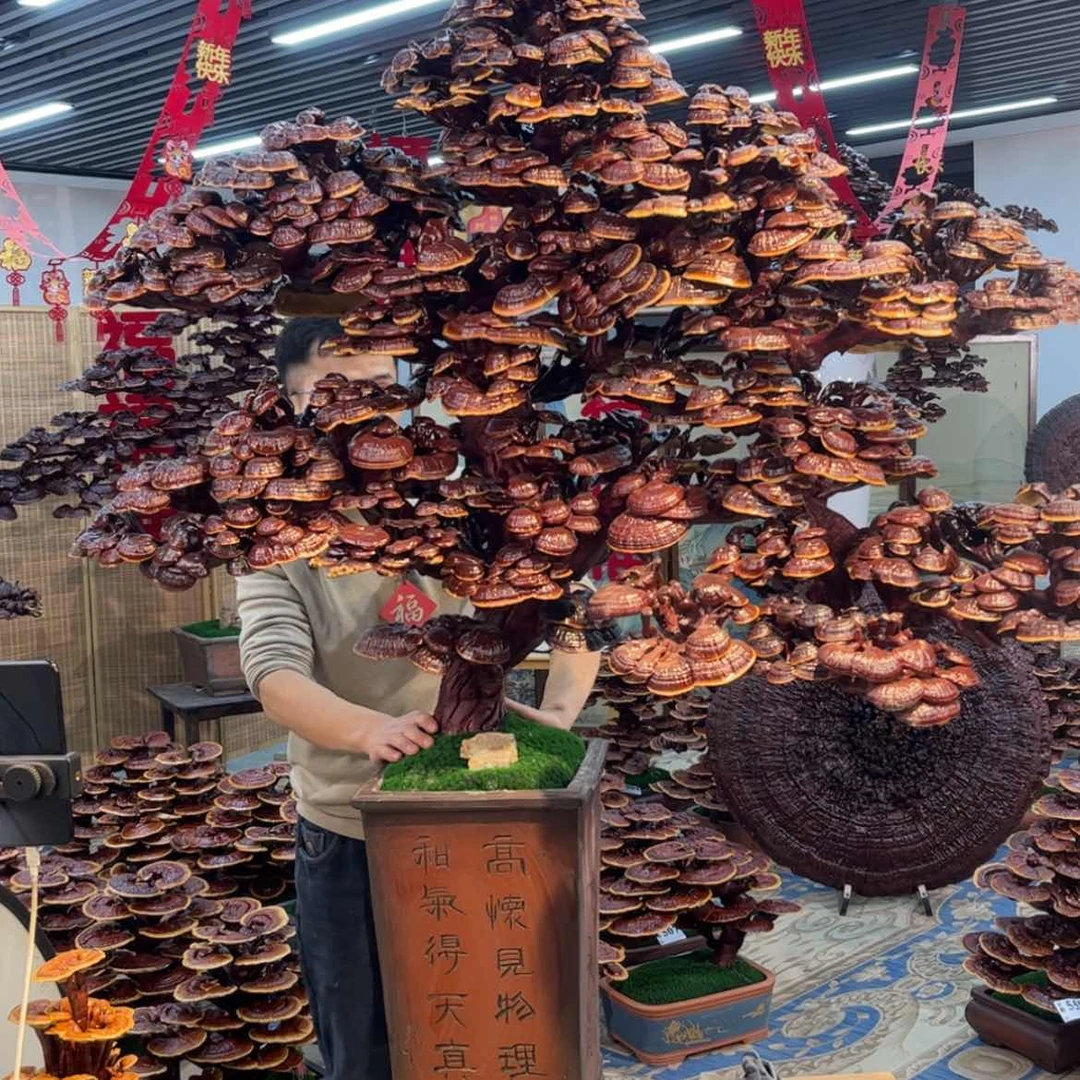 【闪购商品】88888