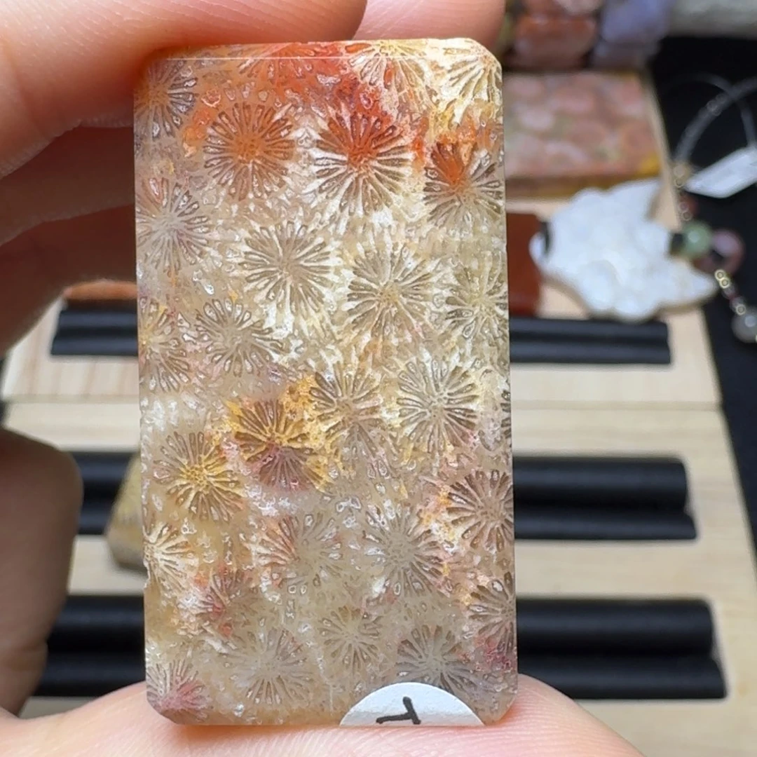 未镶嵌盘好惊艳，特价硅化玉