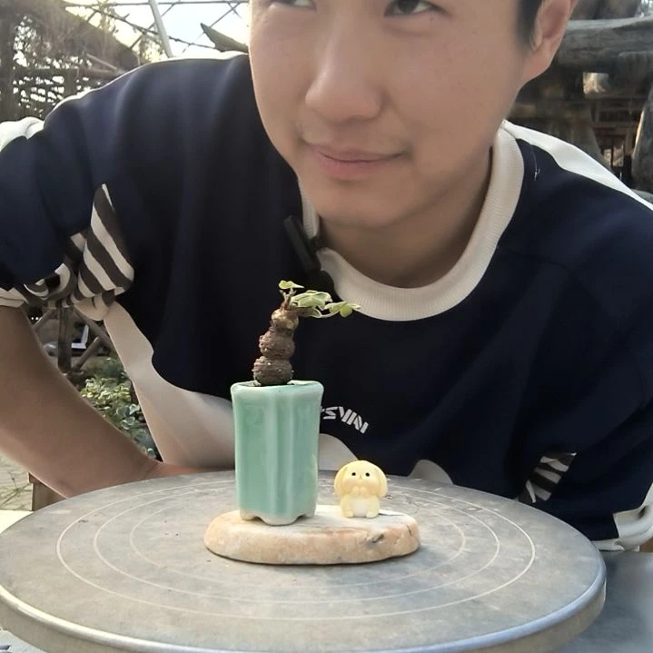 吴***?小盆景小植物一物一拍206