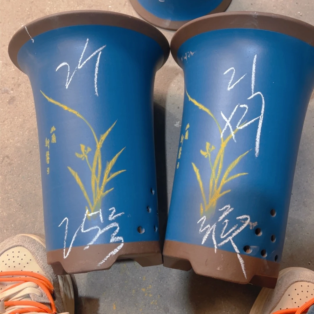 紫砂25……………………………………………