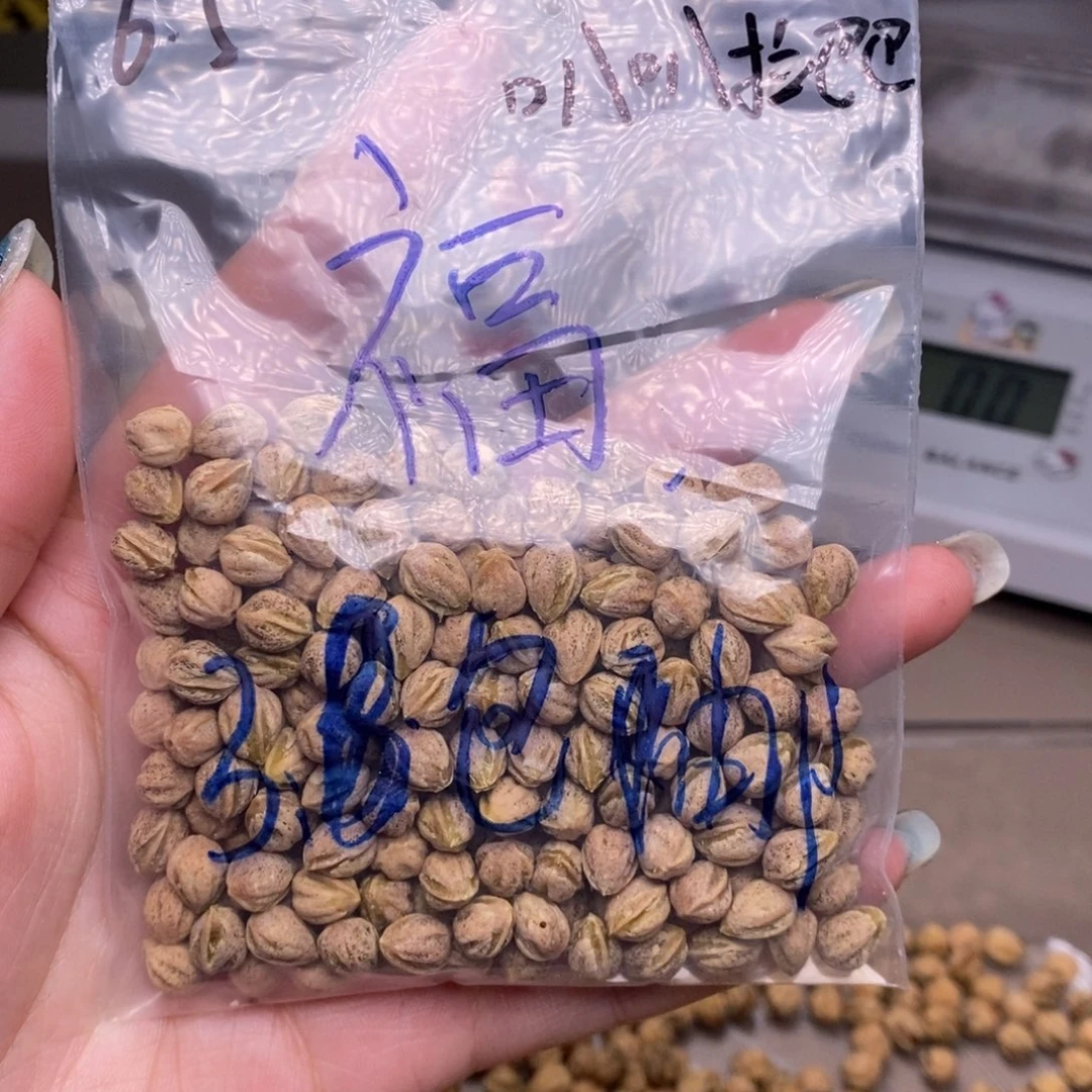叭***巴柏香籽/百香籽吊坠
