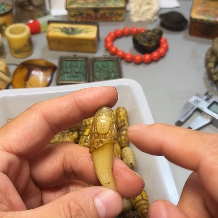 大果紫檀（缅甸花梨）