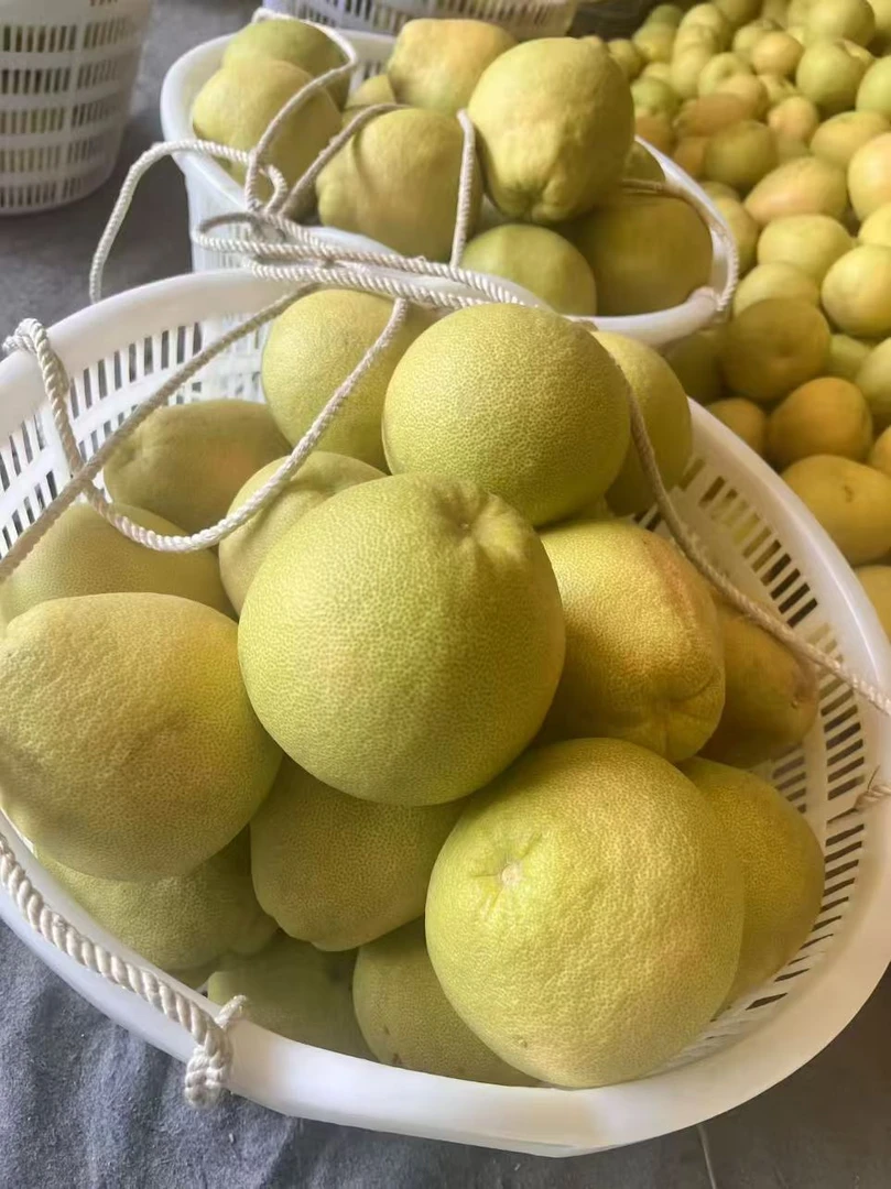 中果顺丰包邮仙游特产红白心文旦柚酸酸甜甜孕妇老人都爱吃