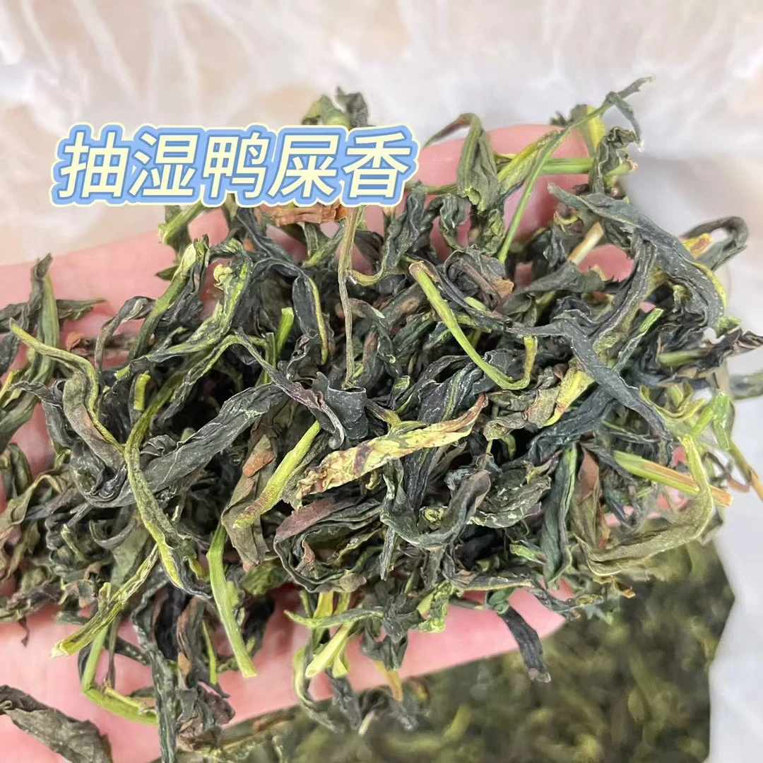 抽湿鸭屎香凤凰单丛茶绿衣仙子新工艺茶叶冷藏鸭屎香柠檬茶单枞茶