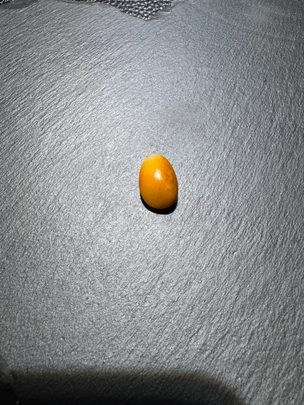 和田玉原石小精品无修2.8克，16*11*10mm