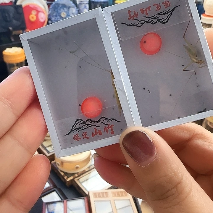 山竹2只啊啊啊啊啊啊啊