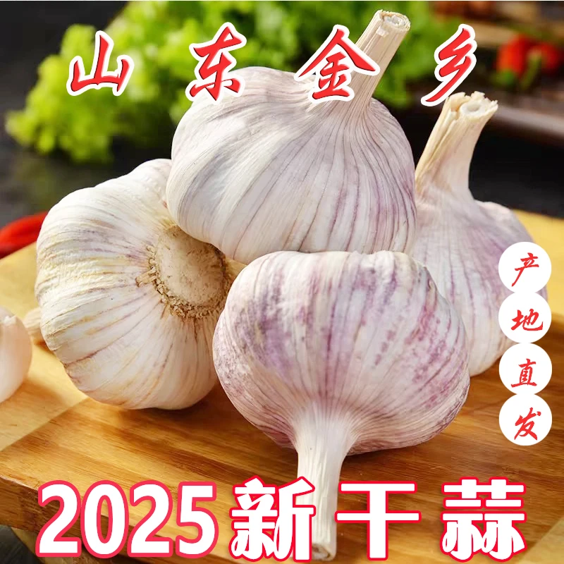 2025山东金乡新干紫白皮大蒜产地直发正宗山东大蒜头干蒜新鲜紫皮