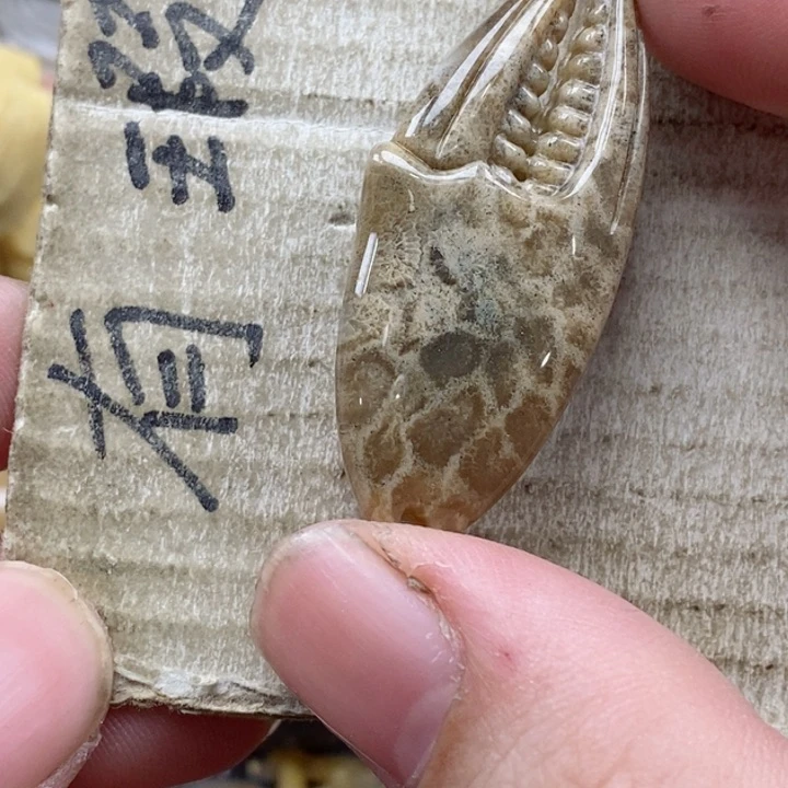 颈饰未镶嵌硅化珊瑚（珊瑚玉）