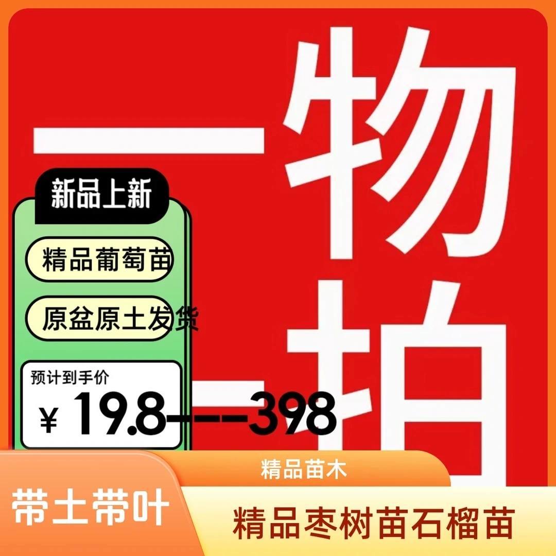 葡萄苗原盆原土果树果苗发货